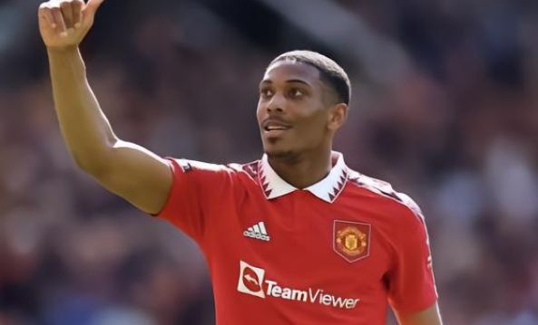 莱沃库森的 莱沃库森的